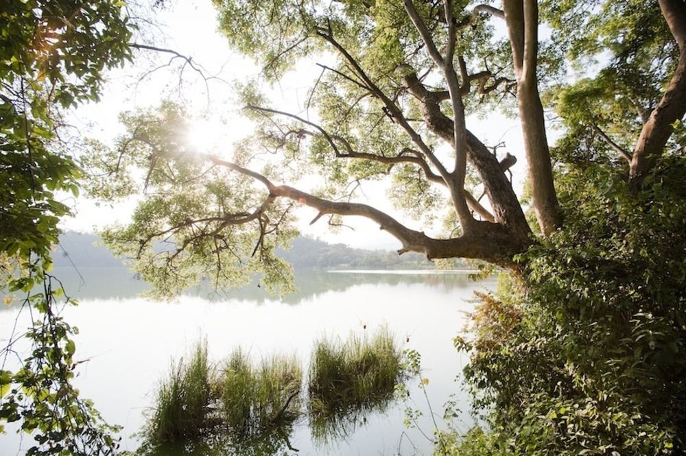 Lake Duluti Lodge アルーシャ エクステリア 写真